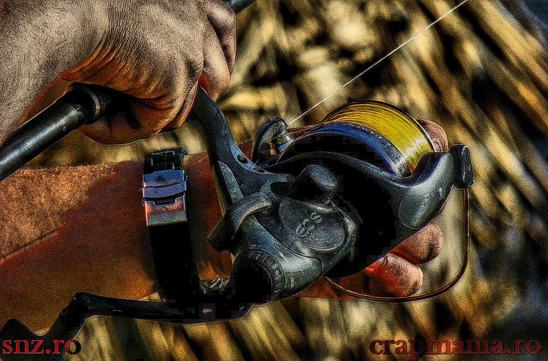 Trofeul Tancabesti - 2013 - 1010242hdrmode2.jpg